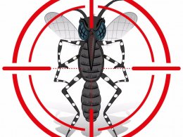 SAÚDE –  Todos na luta contra a DENGUE!!!