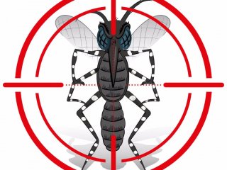 SAÚDE –  Todos na luta contra a DENGUE!!!