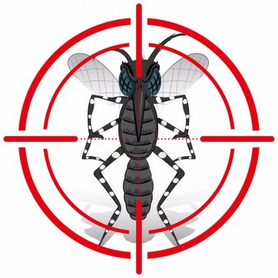 SAÚDE –  Todos na luta contra a DENGUE!!!