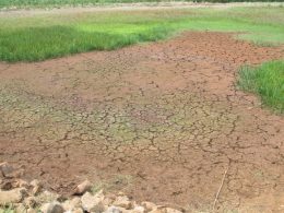 AGRICULTURA I O trabalho contra a estiagem continua com uma grande força tarefa