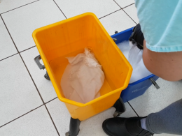 SAÚDE I Crie uma barreira ao coronavírus na sua casa, saiba como.