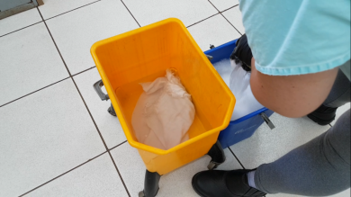 SAÚDE I Crie uma barreira ao coronavírus na sua casa, saiba como.