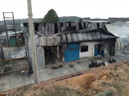 ADMINISTRAÇÃO I Prefeito Douglas Fontana visita empresa Pampa Ráfia em Porto Alegre após incêncio