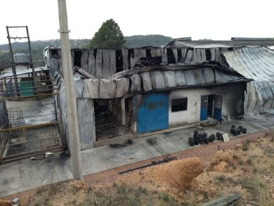 ADMINISTRAÇÃO I Prefeito Douglas Fontana visita empresa Pampa Ráfia em Porto Alegre após incêncio