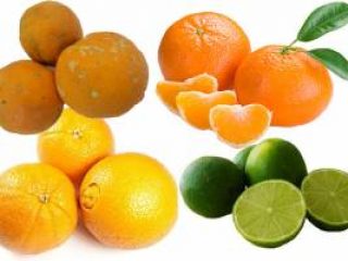SAÚDE I Nutricionista fala dos mitos e verdades de alimentos que aumentam imunidade