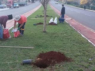 MEIO AMBIENTE I Feito o plantio de mais de 100 mudas de árvores no município
