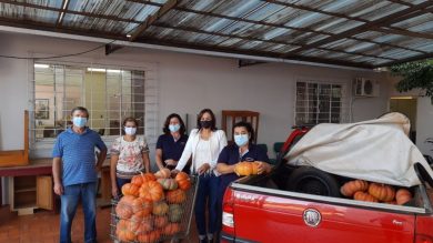 ASSISTÊNCIA SOCIAL I Agricultores fazem doação de morangas para cestas básicas