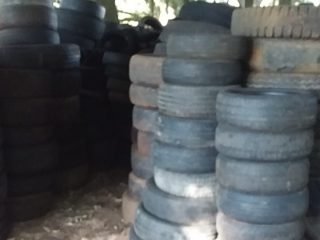 SAÚDE I Dia 28 de abril teremos recolhimento de pneus usados no Parque Armídio Bertani