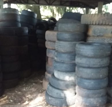SAÚDE I Dia 28 de abril teremos recolhimento de pneus usados no Parque Armídio Bertani