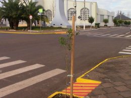 Prefeitura faz o plantio de árvores na Av. Duque de Caxias