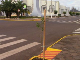Prefeitura faz o plantio de árvores na Av. Duque de Caxias