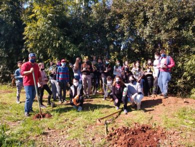 EMEF Álvaro Rodrigues Leitão realiza o plantio de mudas nativas