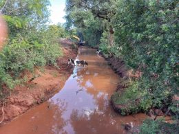 Iniciada as obras de alargamento do Riacho Tigreiro