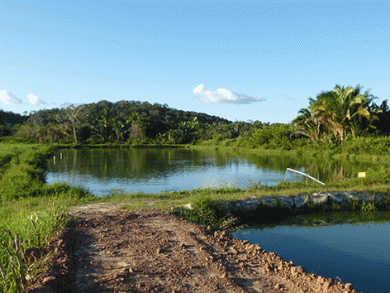 AGRICULTURA I ABERTAS INSCRIÇÕES PARA O PROGRAMA AVANÇAR NA AGROPECUÁRIA E DESENVOLVIMENTO RURAL