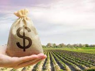 Emater e Conselho Municipal de Desenvolvimento Rural abrem Inscrição para a Seleção de beneficiários para acesso a recurso via FEAPER PROGRAMA AVANÇAR na Agricultura e no Desenvolvimento Rural