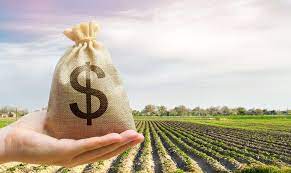 Emater e Conselho Municipal de Desenvolvimento Rural abrem Inscrição para a Seleção de beneficiários para acesso a recurso via FEAPER PROGRAMA AVANÇAR na Agricultura e no Desenvolvimento Rural