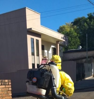 Secretaria da Saúde intensifica combate ao Aedes aegypti   