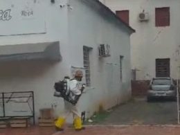 Dengue: fique por dentro das medidas de combate