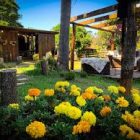 Vila Casulo – Spa da Vida